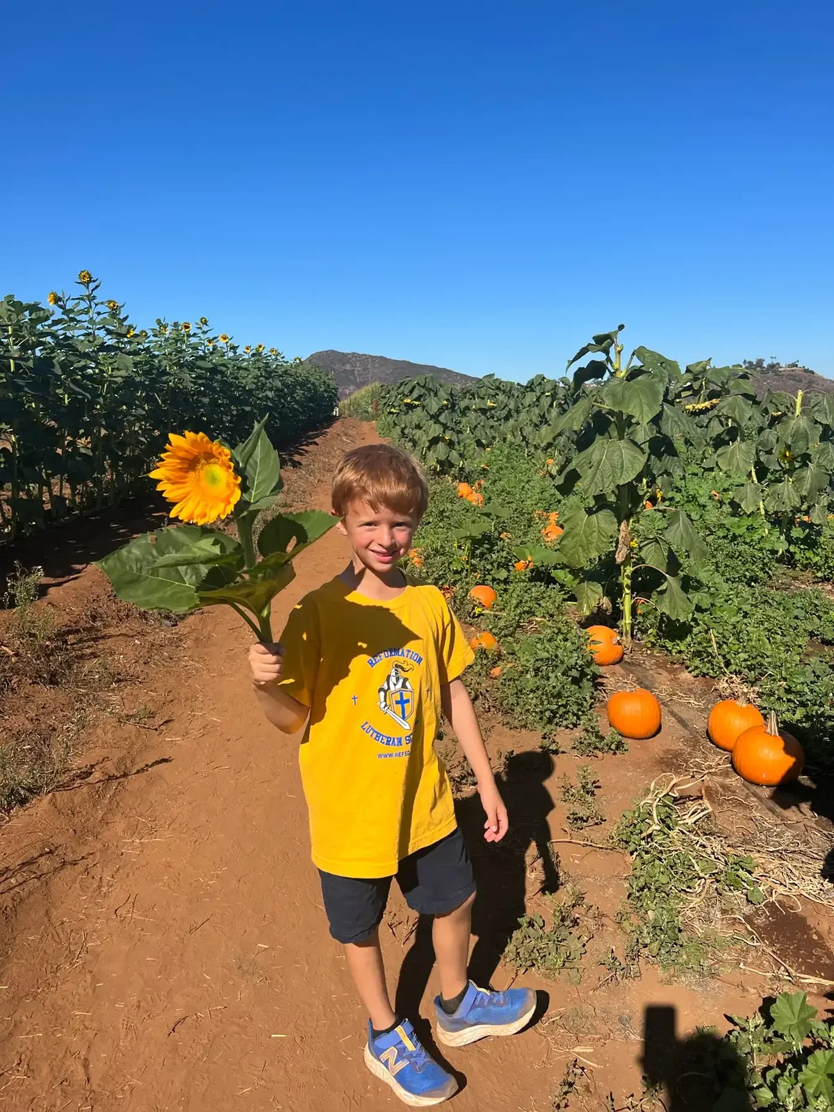 A Reformation student at the pumpkin patch on a fall field trip
